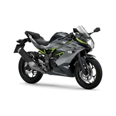 Kawasaki Ninja 125 (2025 - 26) nuova