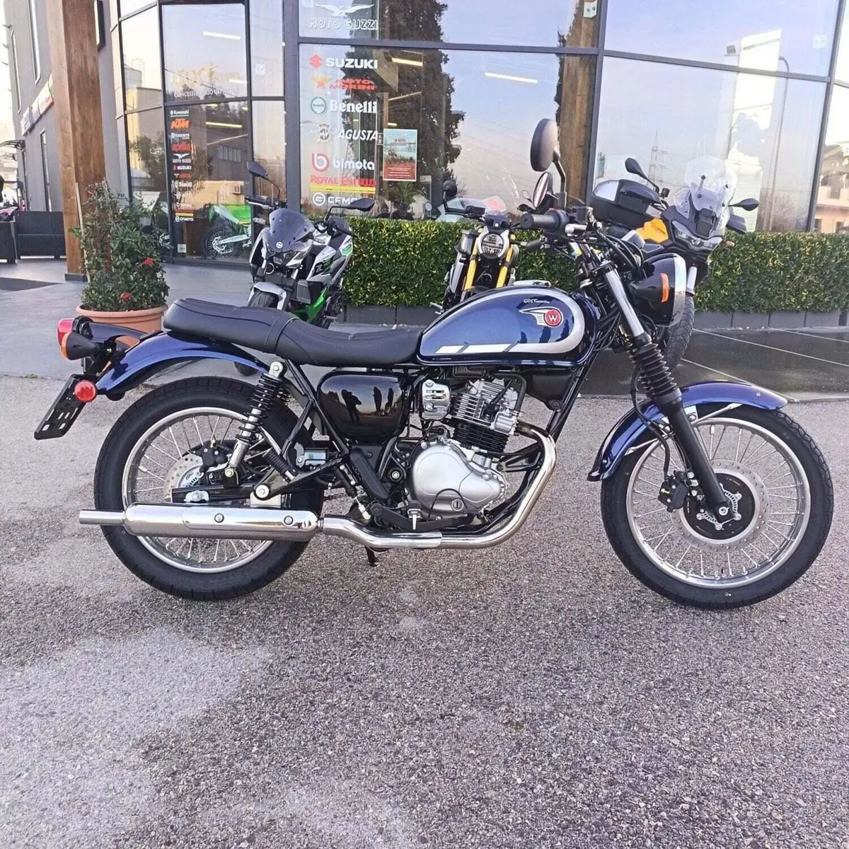 Kawasaki W 230 (2025 - 26) (3)