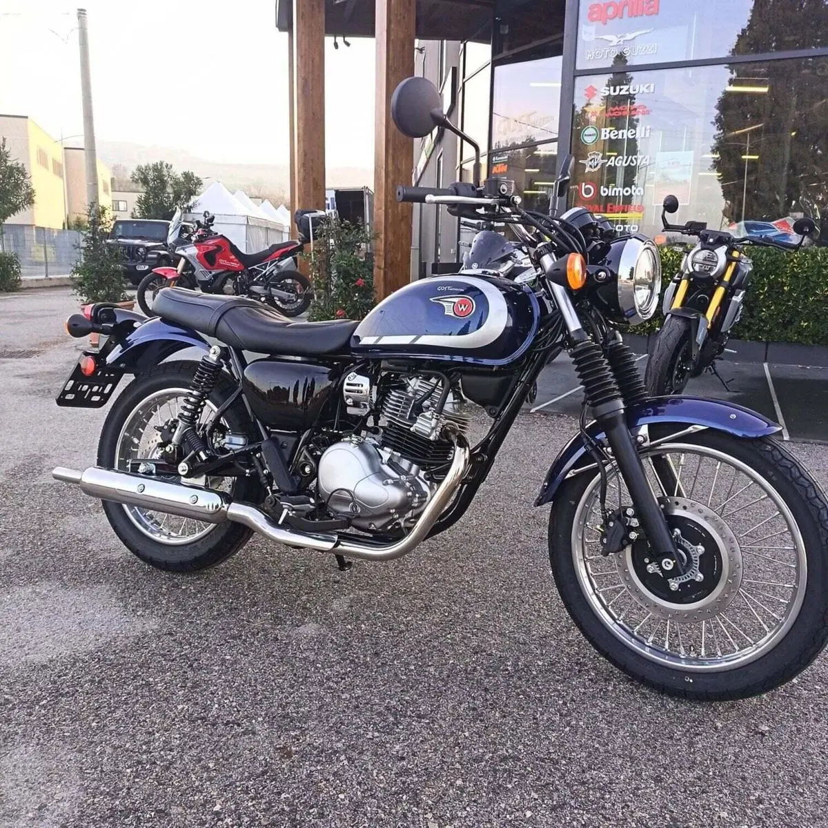 Kawasaki W 230 (2025 - 26) (4)