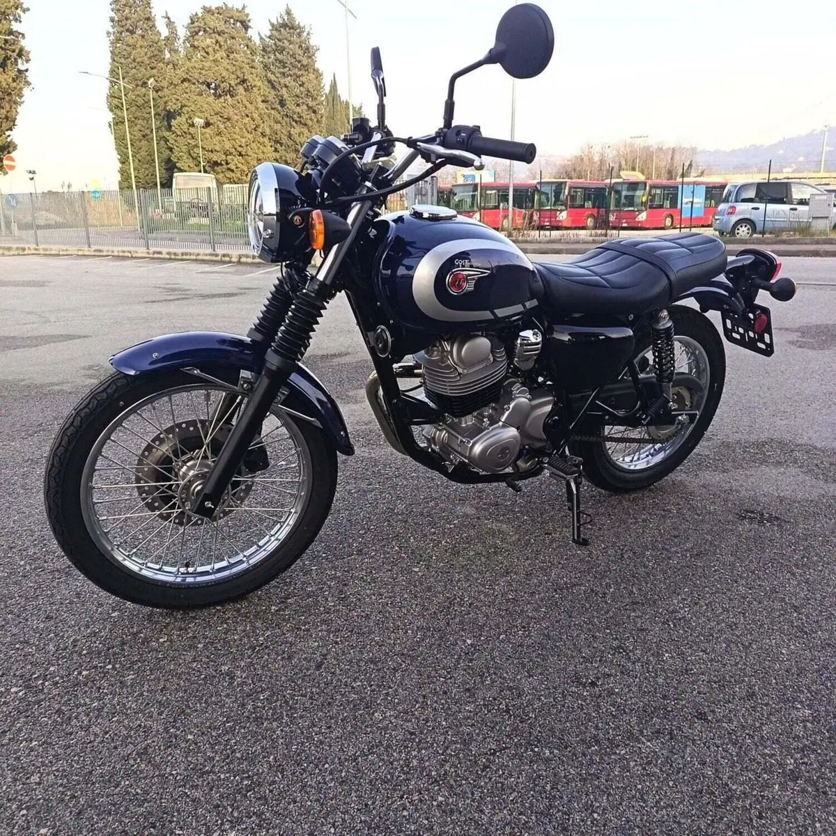 Kawasaki W 230 (2025 - 26) (5)