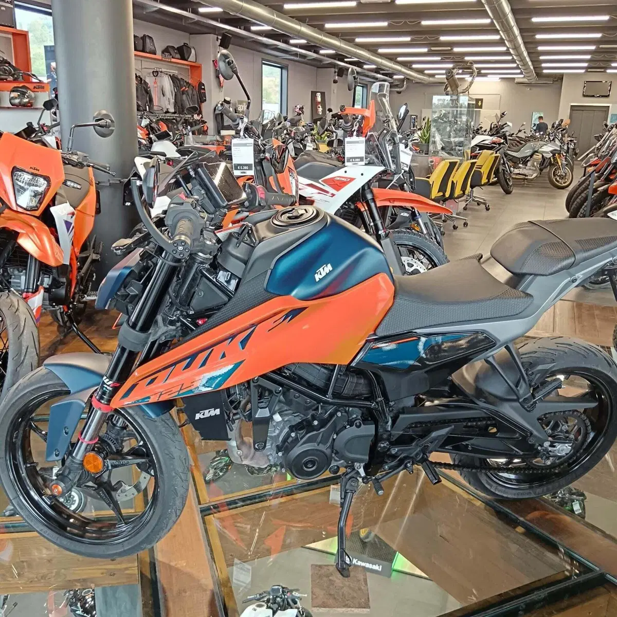 KTM 125 Duke (2024 - 25)