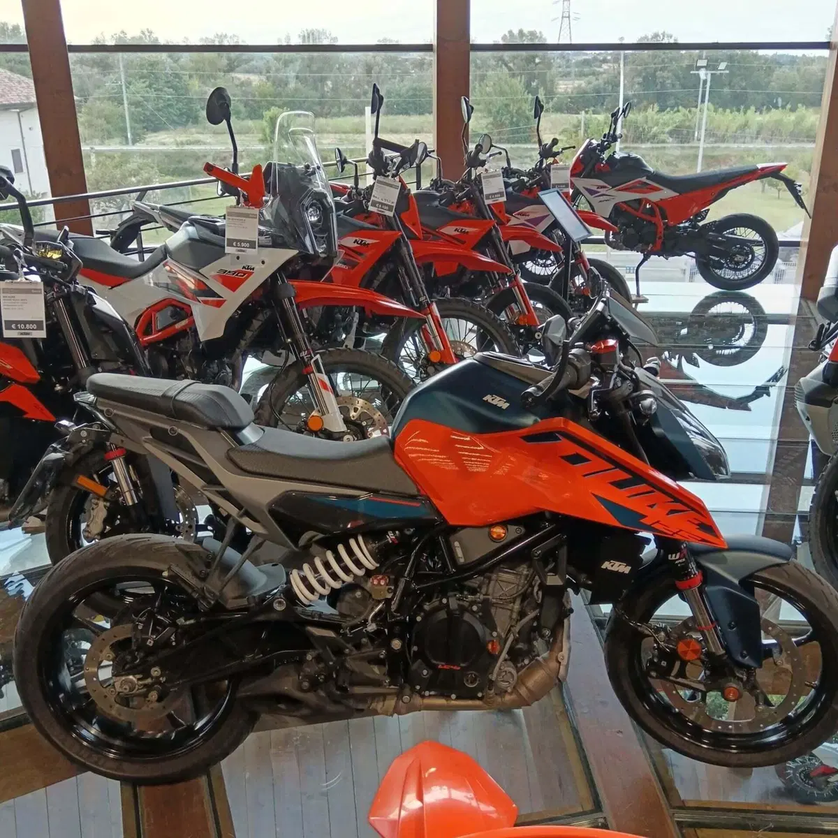 KTM 125 Duke (2024 - 25) (3)