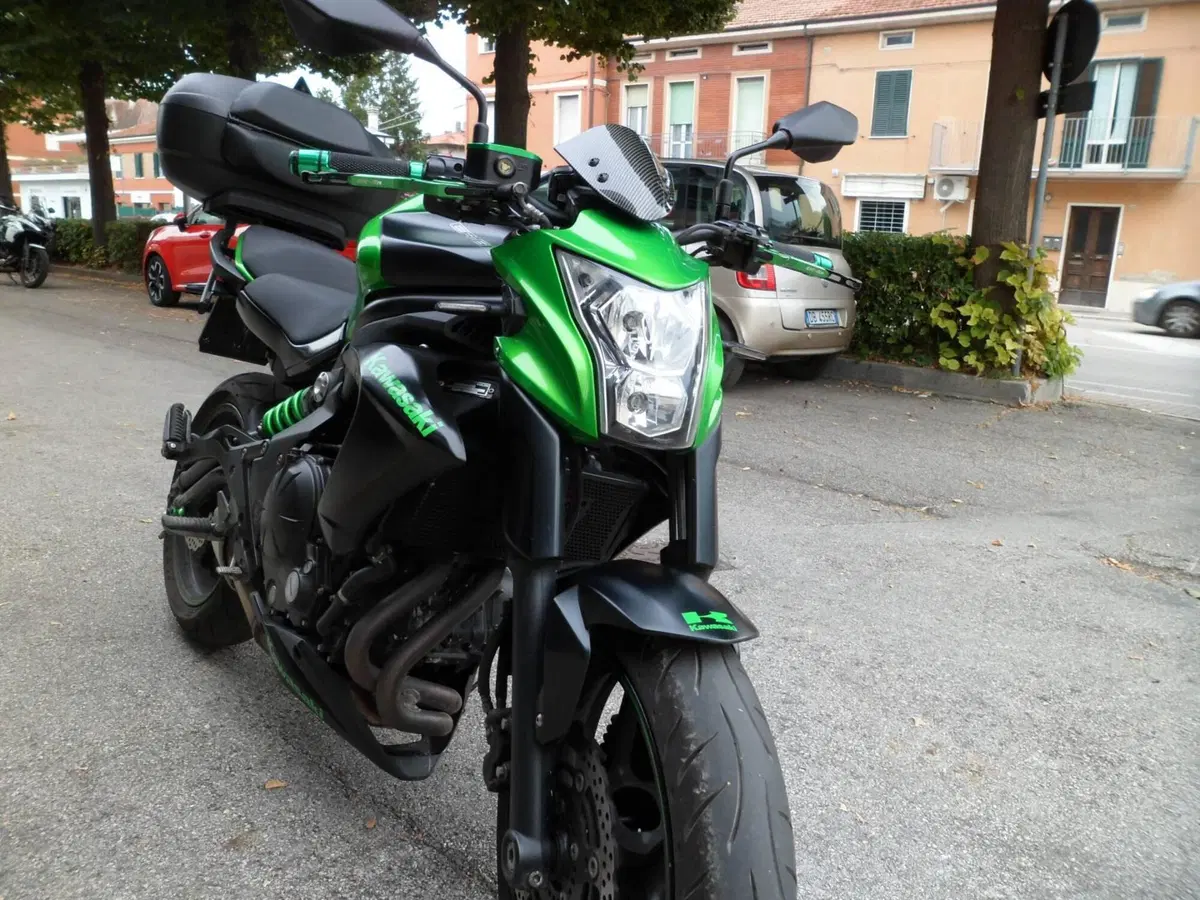 Kawasaki ER-6N (2012 - 13) (2)