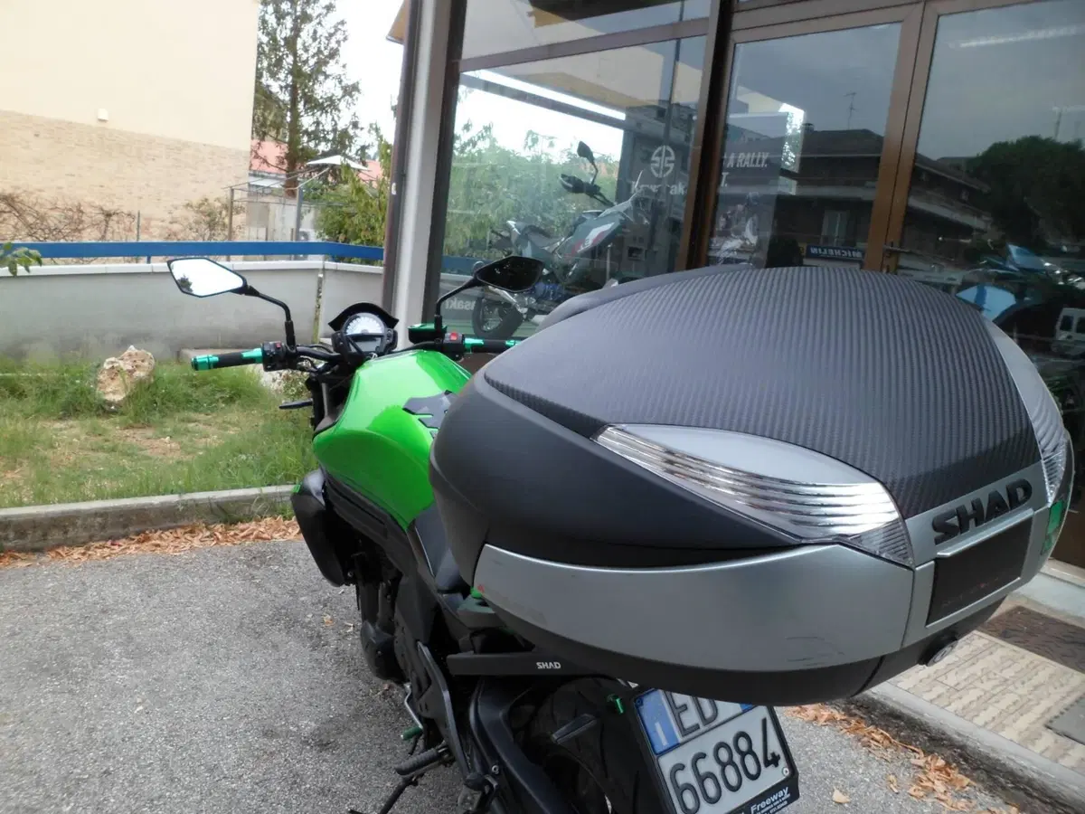 Kawasaki ER-6N (2012 - 13) (5)