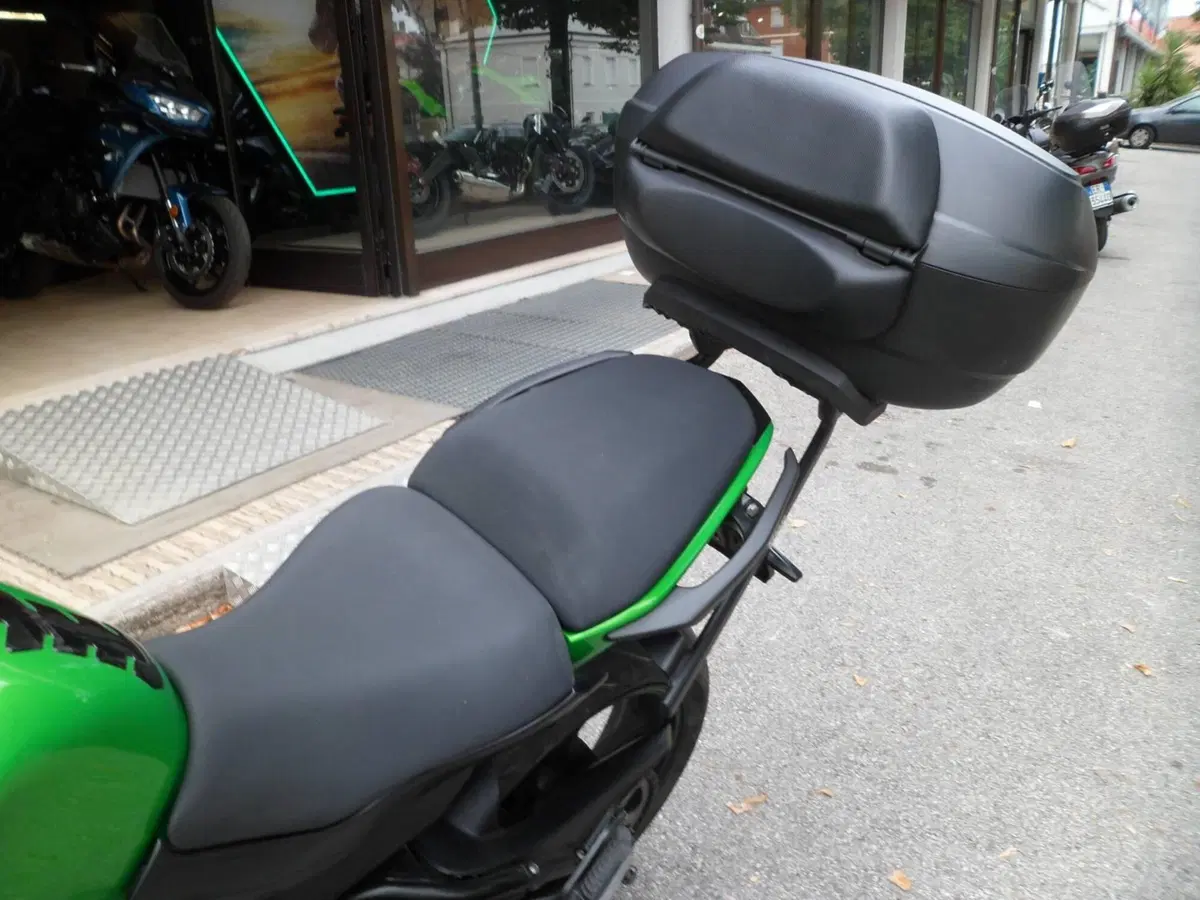 Kawasaki ER-6N (2012 - 13) (6)
