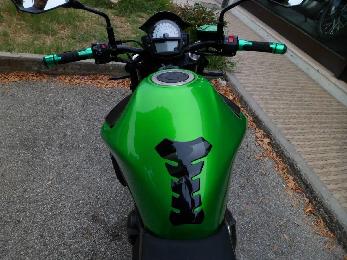 Kawasaki ER-6N (2012 - 13) (7)