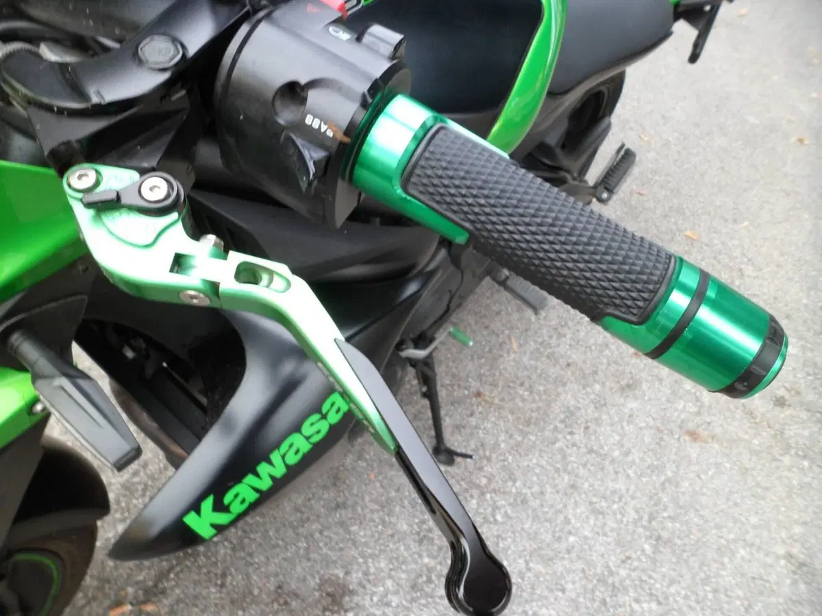 Kawasaki ER-6N (2012 - 13) (8)
