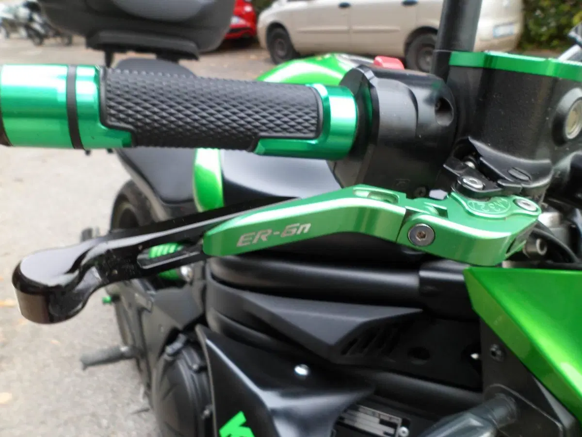 Kawasaki ER-6N (2012 - 13) (9)