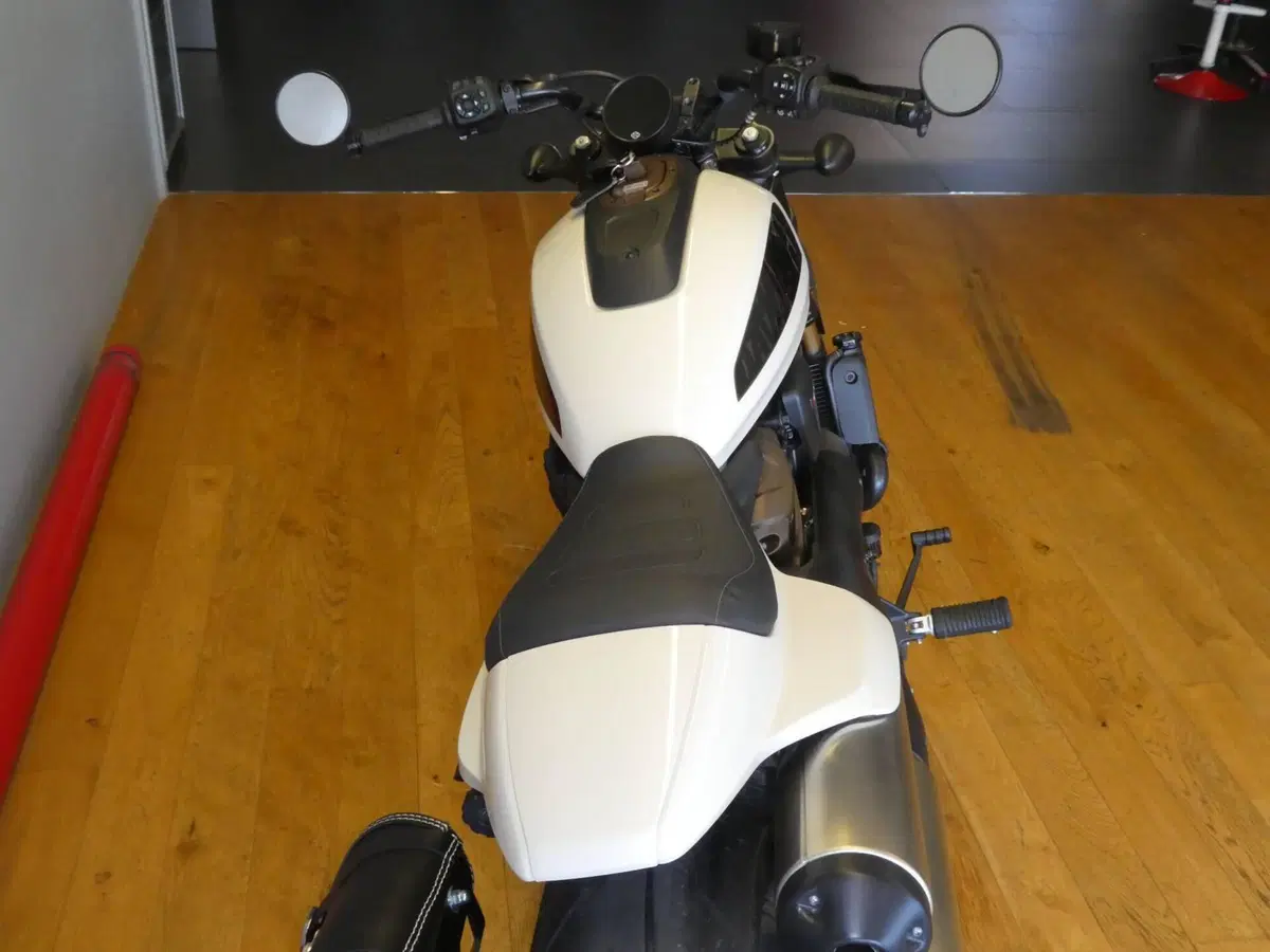 Harley-Davidson Sportster S (2022 - 24) (3)