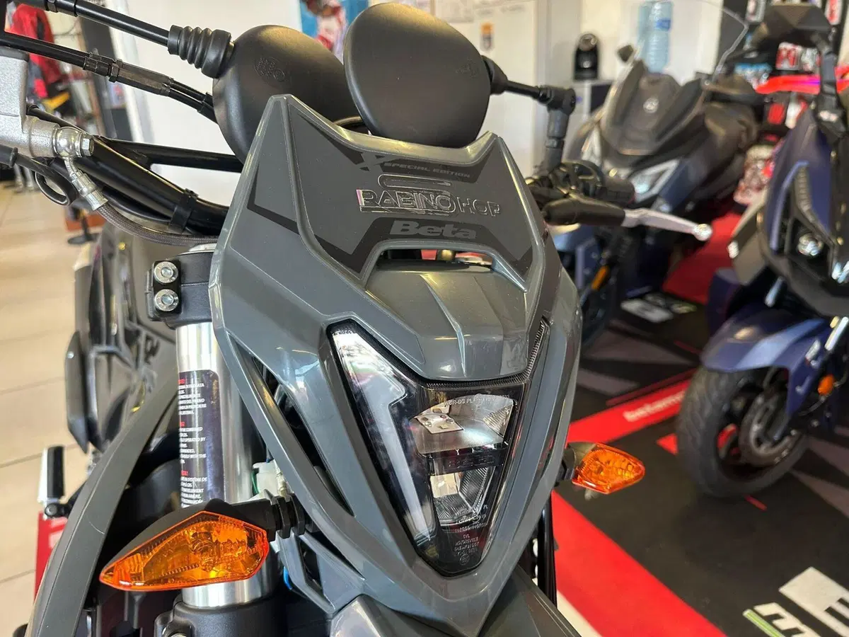 Betamotor RR 125 4T Enduro T - X Special Edition (2025 - 26) (9)