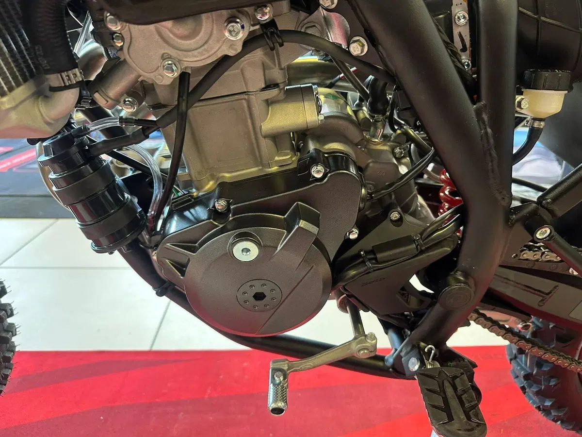 Betamotor RR 125 4T Enduro T - X Special Edition (2025 - 26) (13)