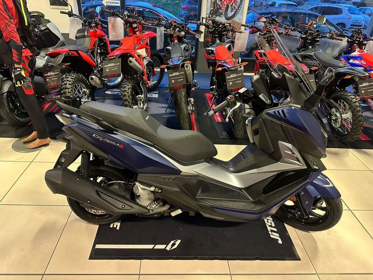 Sym Cruisym 300 (2021 - 24) (2)