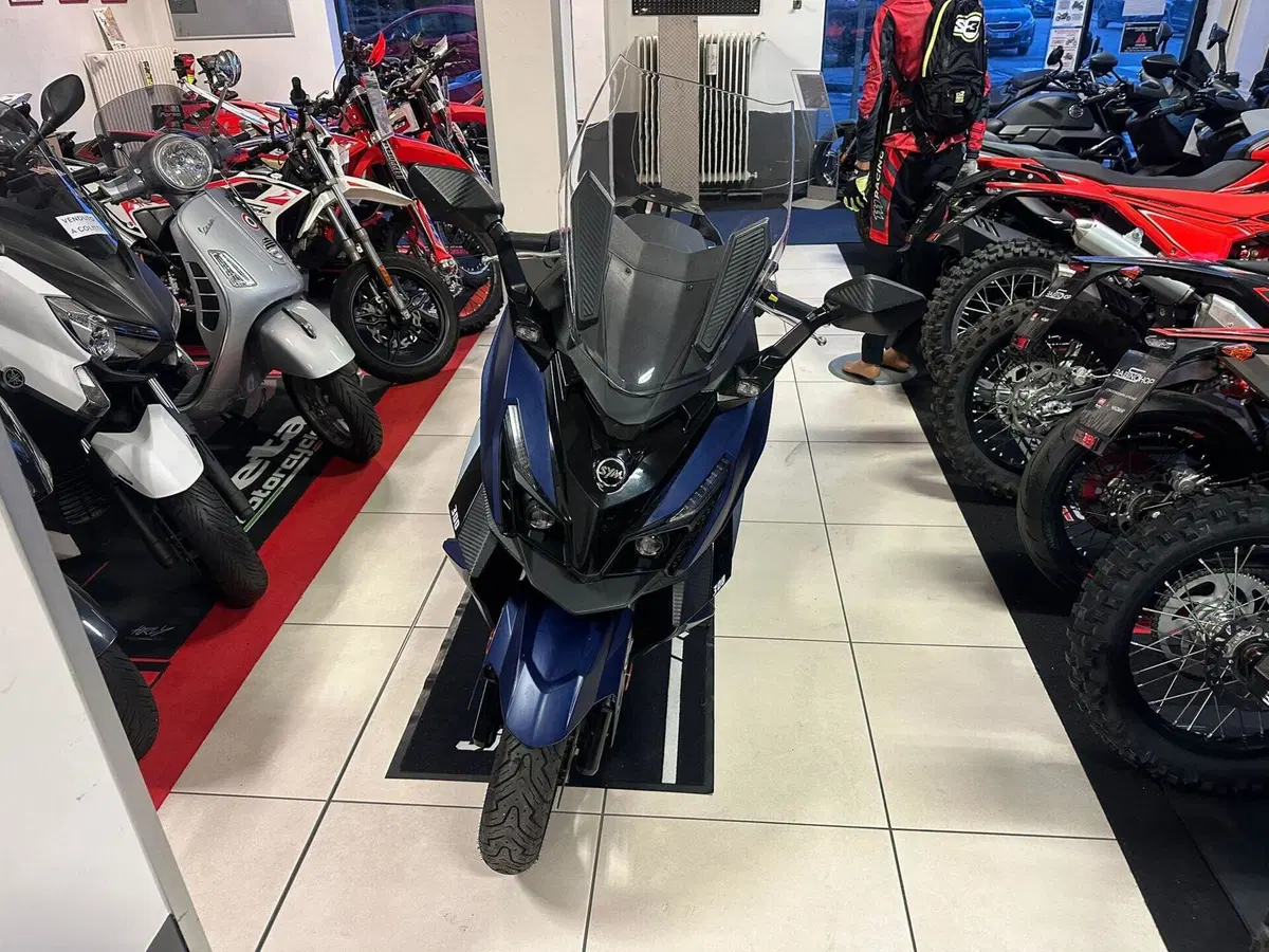 Sym Cruisym 300 (2021 - 24) (8)