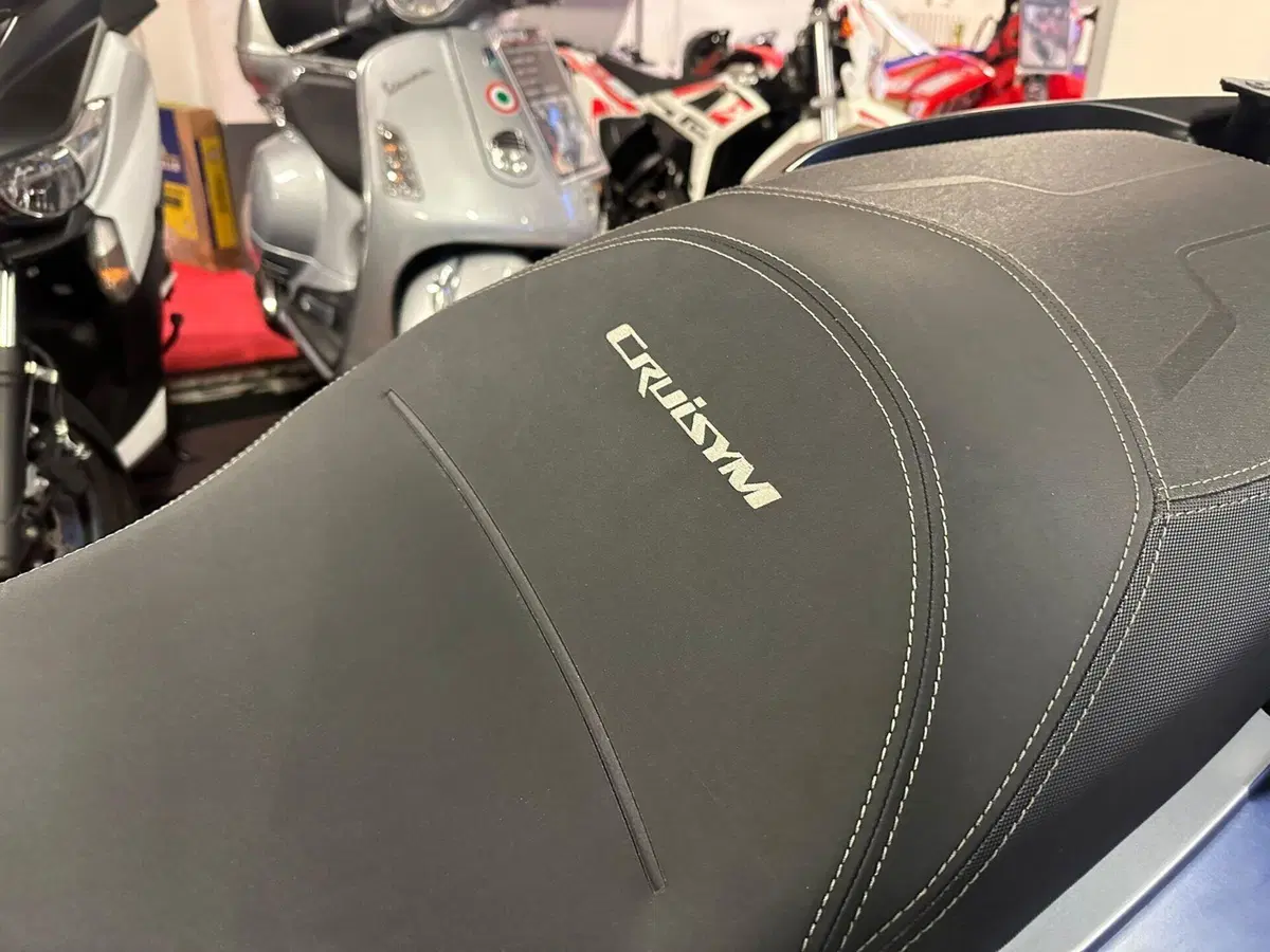 Sym Cruisym 300 (2021 - 24) (12)