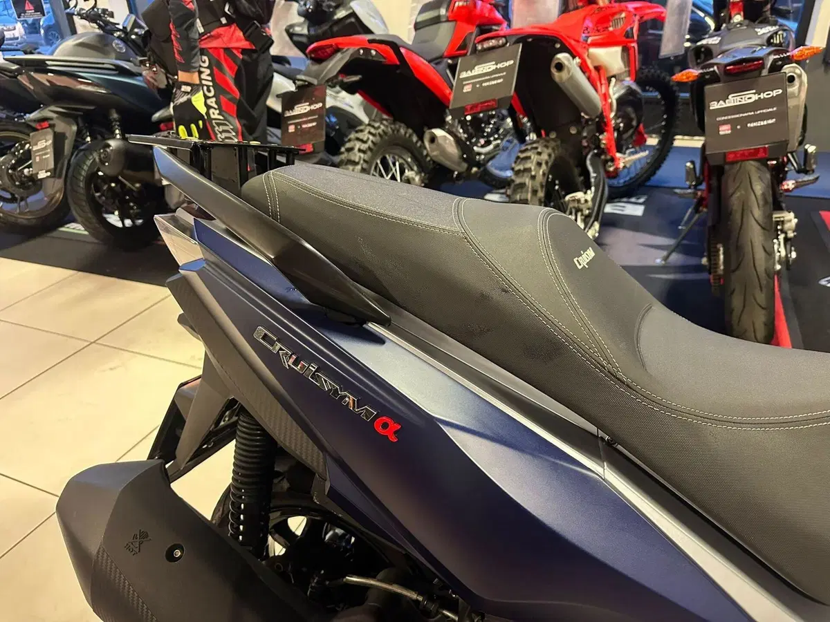 Sym Cruisym 300 (2021 - 24) (15)