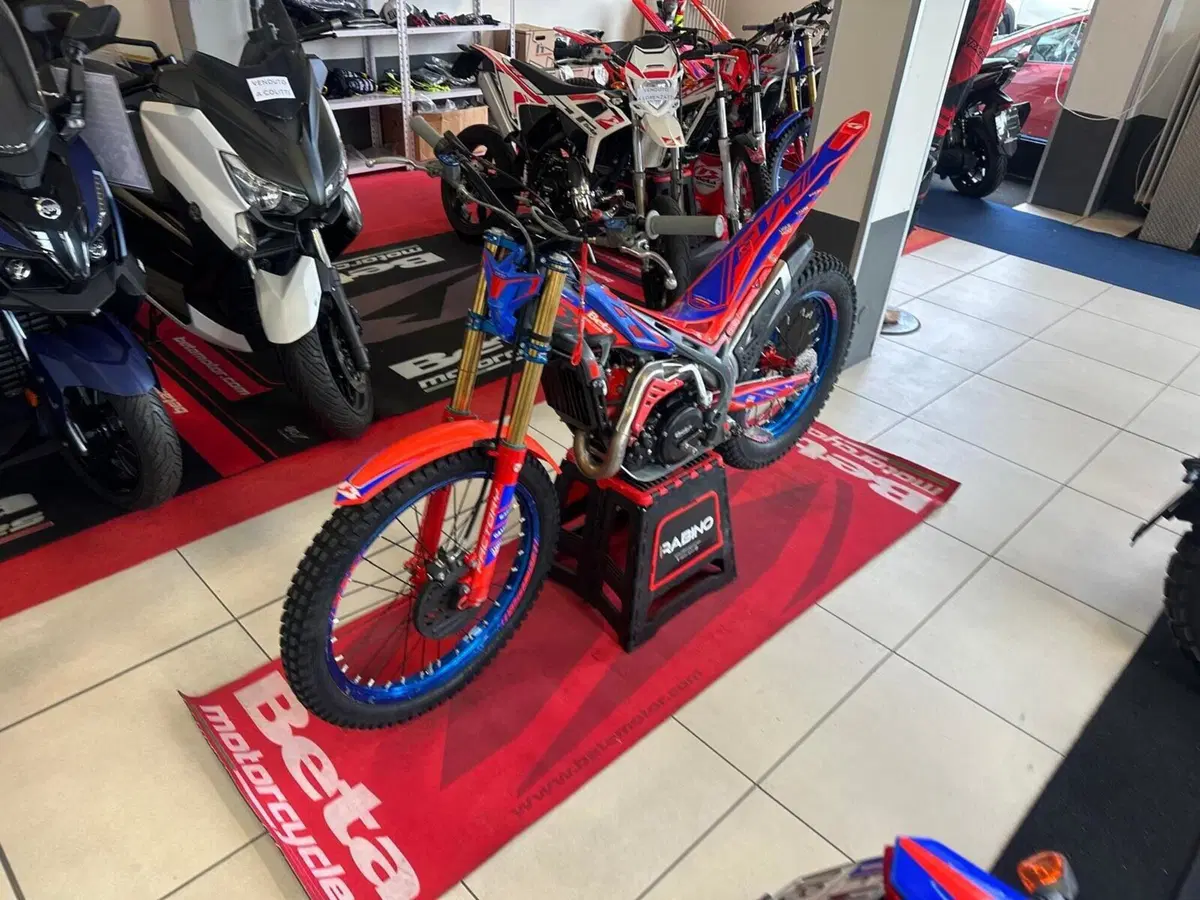 Betamotor Evo 125 2T Factory (2024)