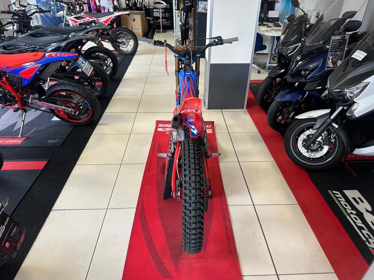 Betamotor Evo 125 2T Factory (2024) (6)
