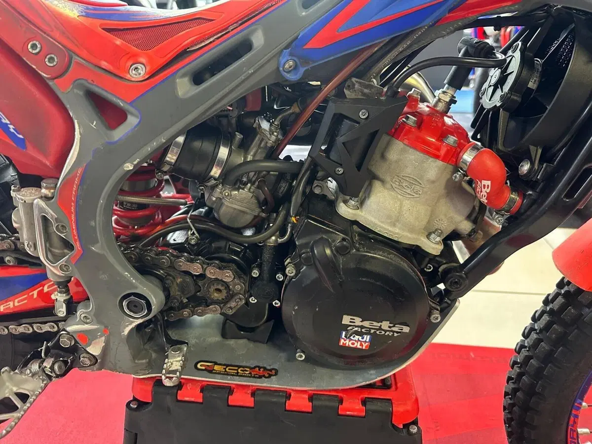 Betamotor Evo 125 2T Factory (2024) (10)