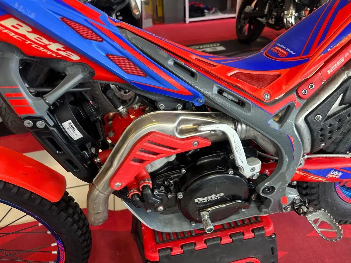 Betamotor Evo 125 2T Factory (2024) (11)