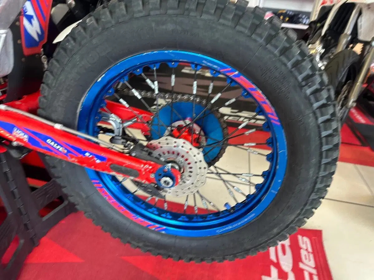 Betamotor Evo 125 2T Factory (2024) (15)