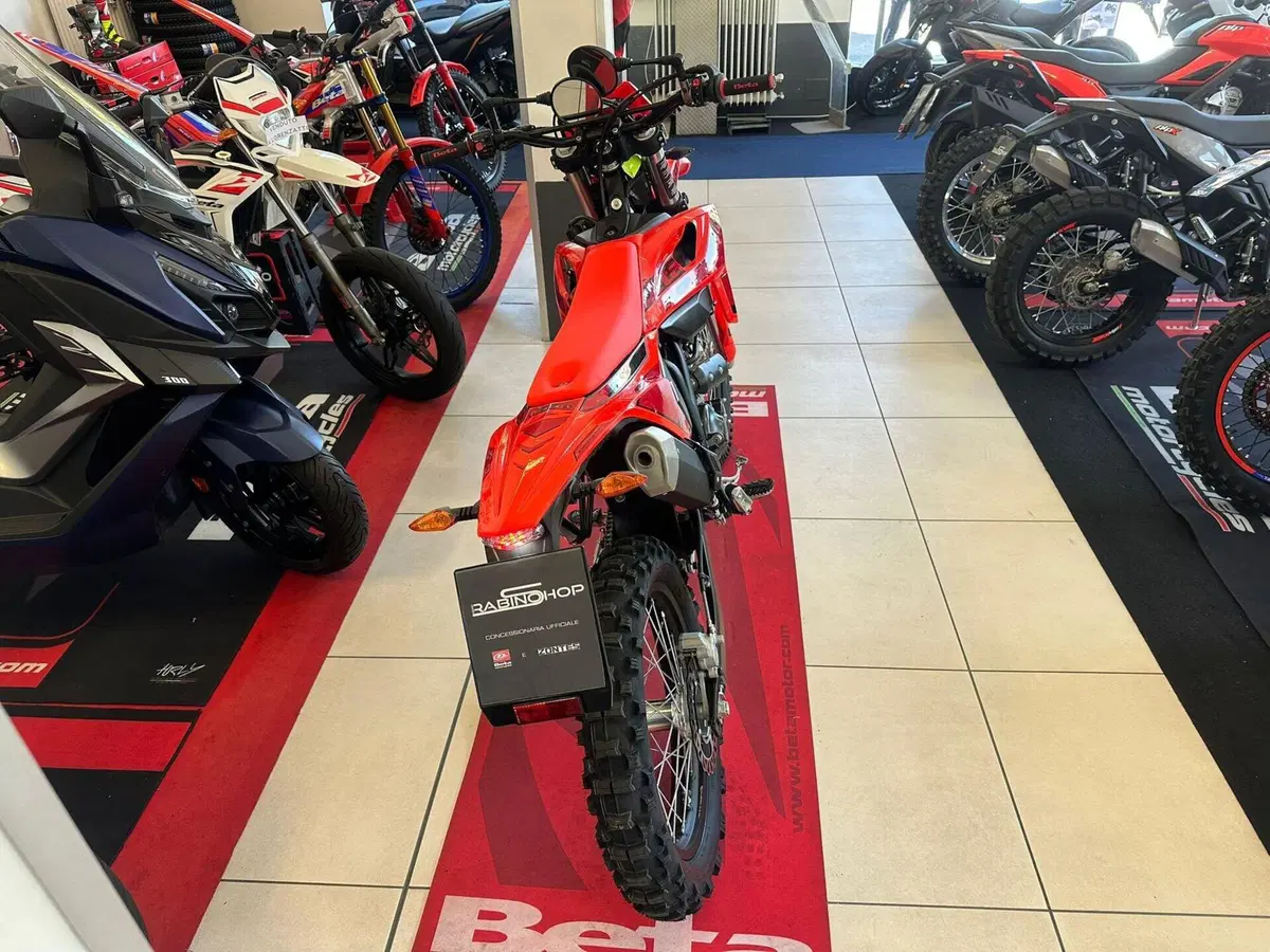 Betamotor RR 125 4T Enduro T (2023 - 24) (3)