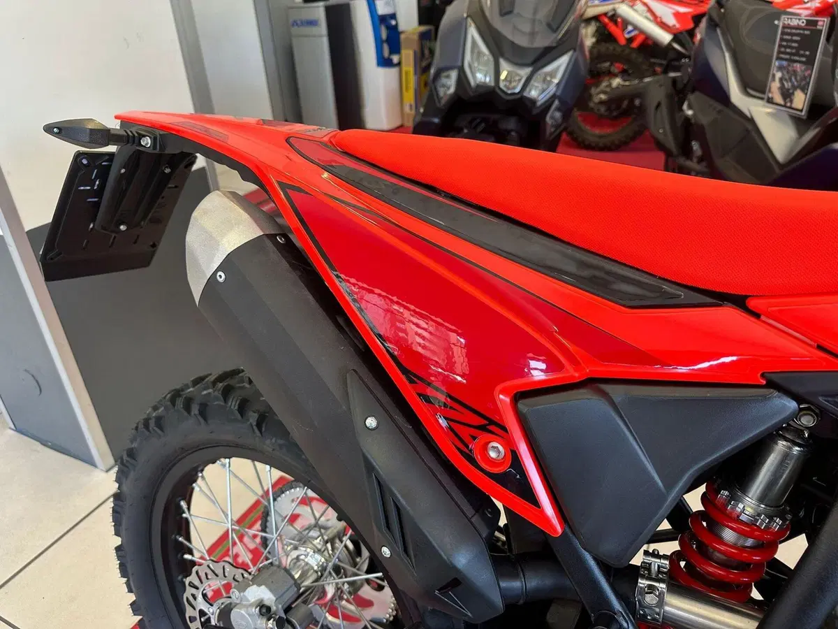 Betamotor RR 125 4T Enduro T (2023 - 24) (13)