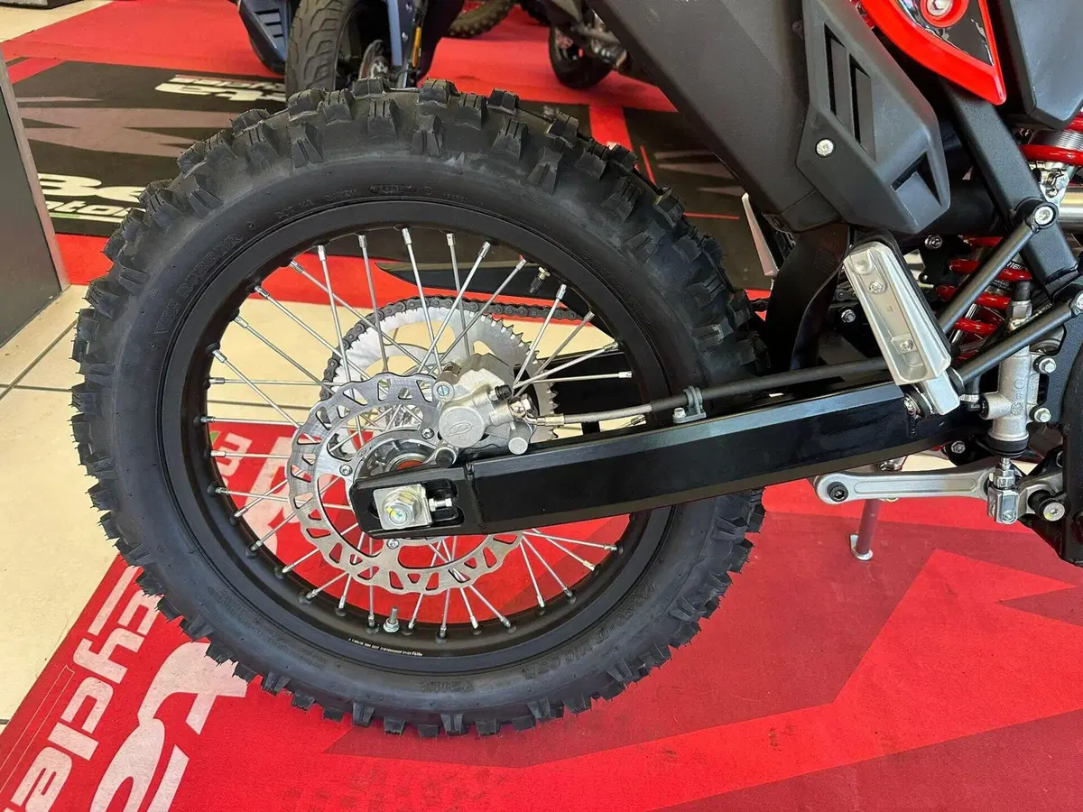 Betamotor RR 125 4T Enduro T (2023 - 24) (17)