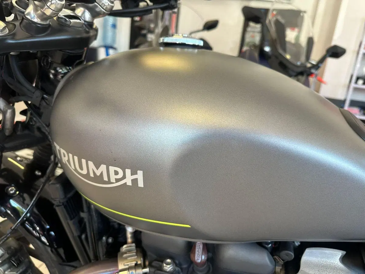 Triumph Speed Twin 900 (2023 - 24) (12)