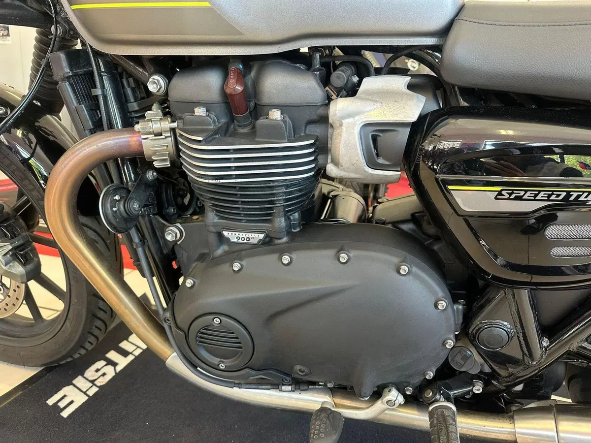 Triumph Speed Twin 900 (2023 - 24) (13)