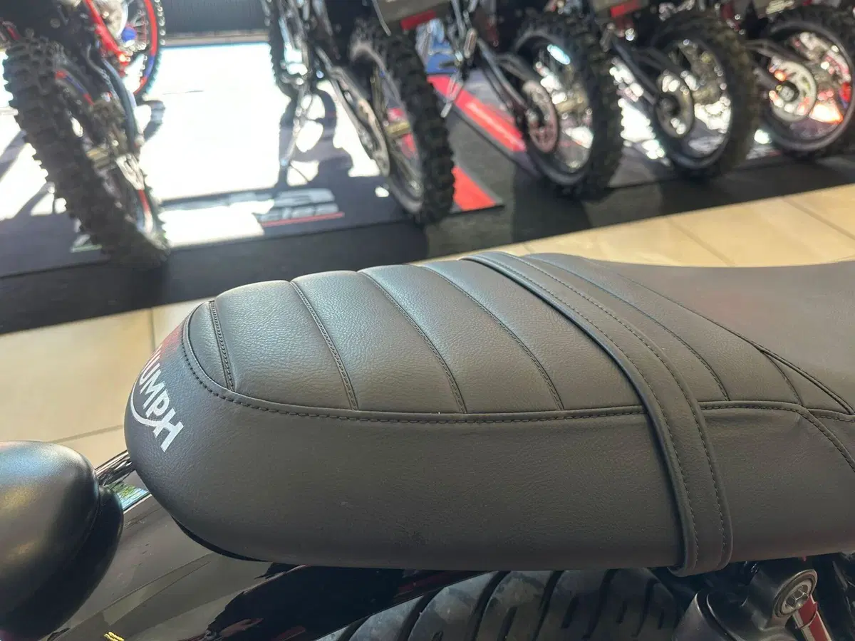 Triumph Speed Twin 900 (2023 - 24) (16)