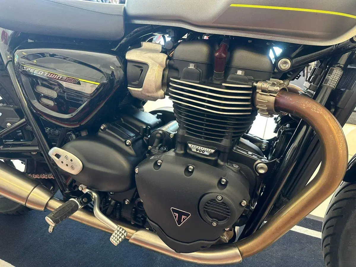 Triumph Speed Twin 900 (2023 - 24) (17)