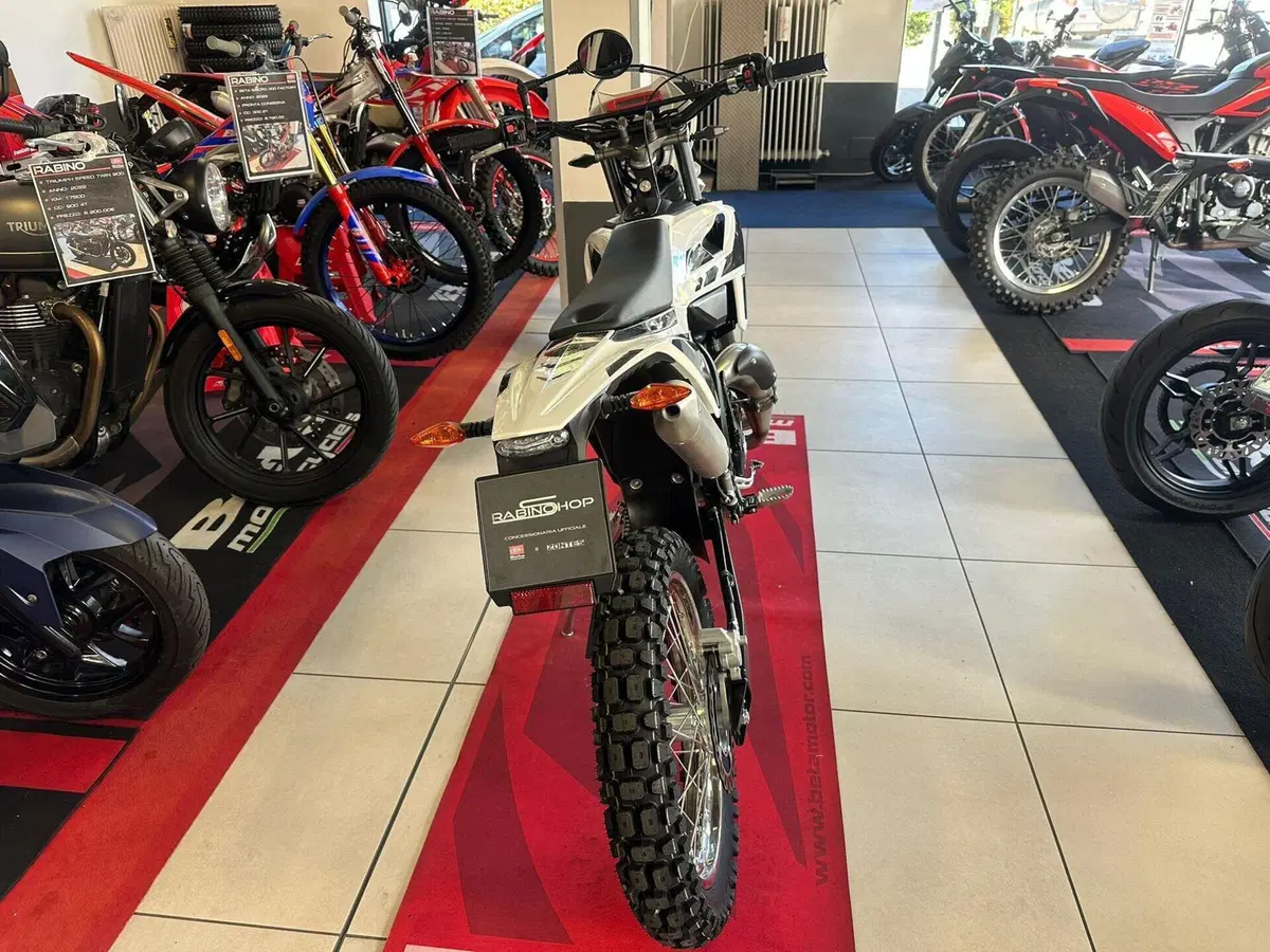 Betamotor RR 50 Enduro (2021 - 26) (4)
