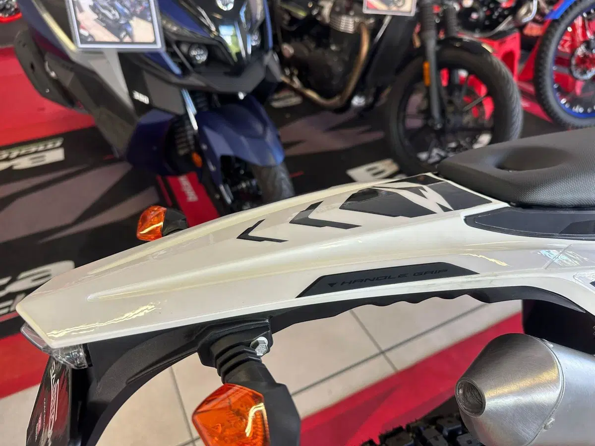 Betamotor RR 50 Enduro (2021 - 26) (17)