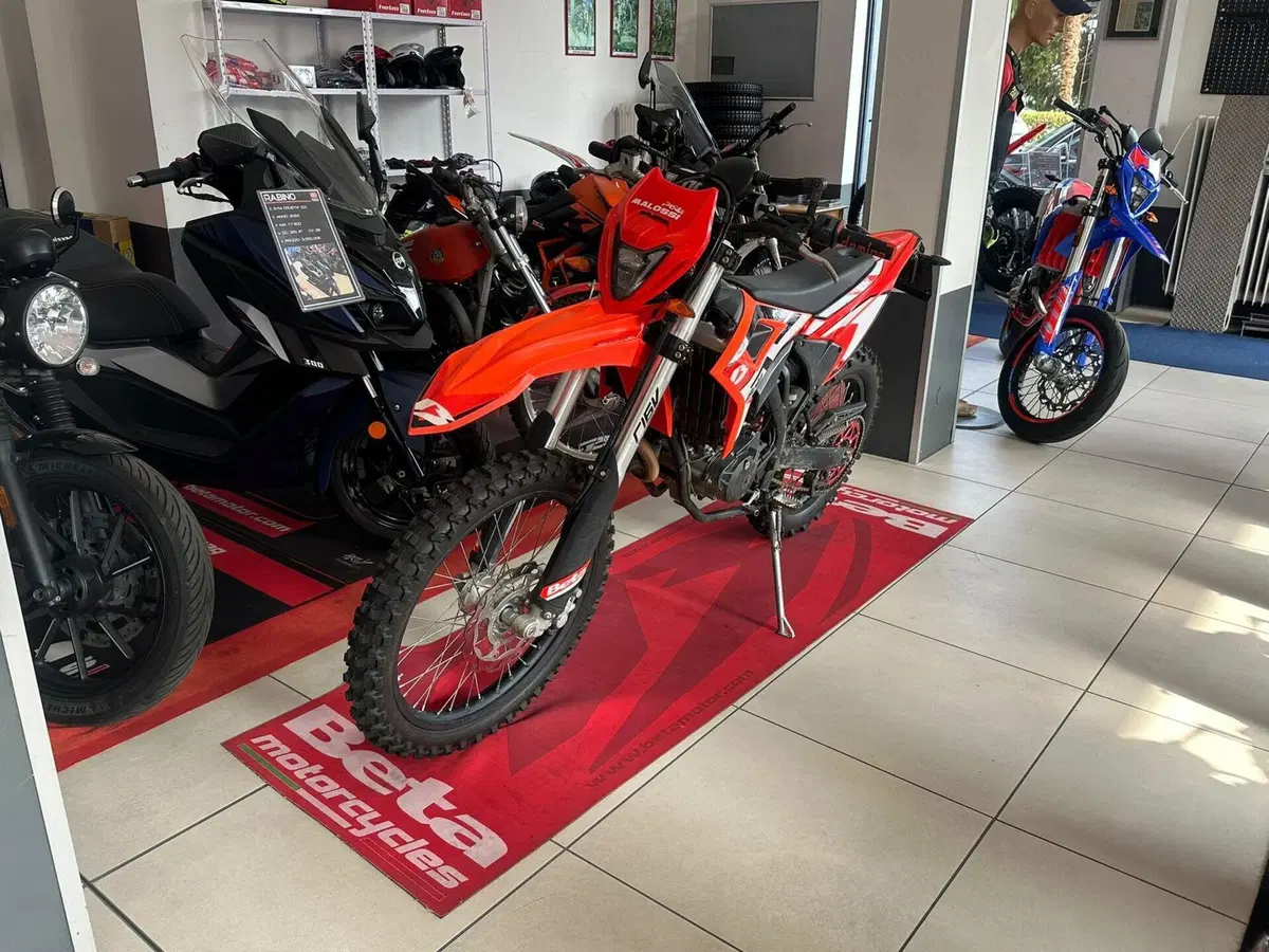 Betamotor RR 125 4T Enduro T (2023 - 24) (7)