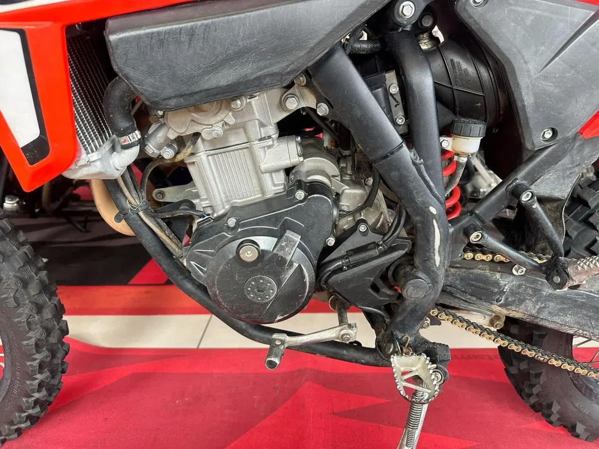 Betamotor RR 125 4T Enduro T (2023 - 24) (11)
