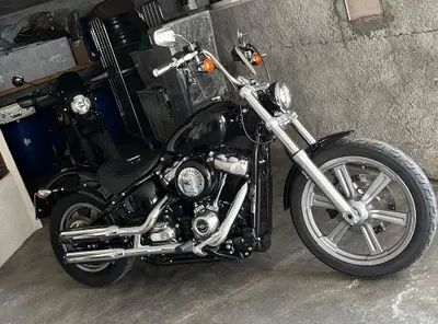 Harley-Davidson Softail Standard (2020) - FXST usata