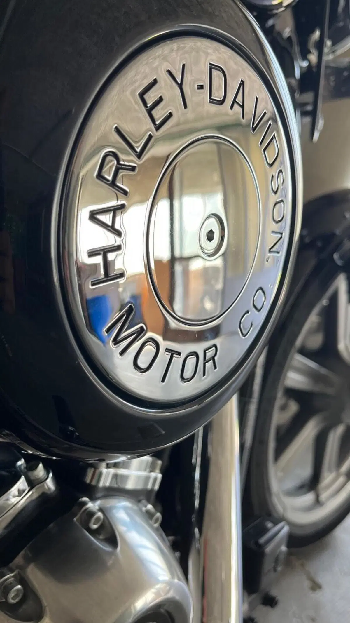 Harley-Davidson Softail Standard (2020) - FXST (3)