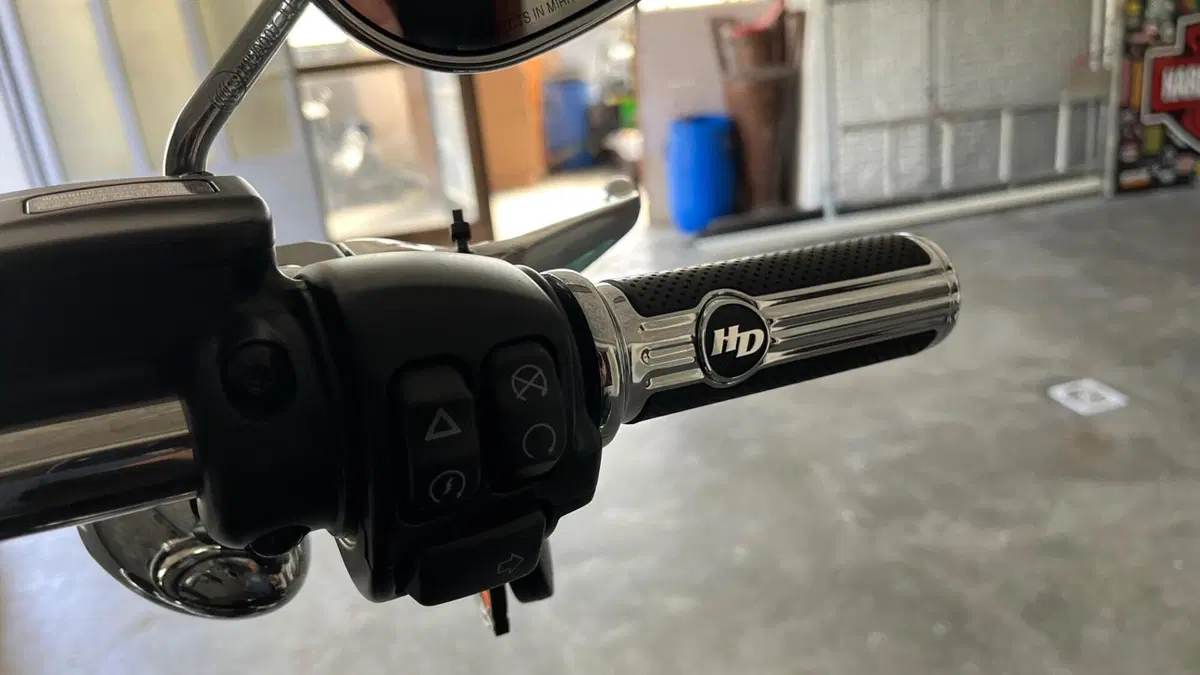 Harley-Davidson Softail Standard (2020) - FXST (4)