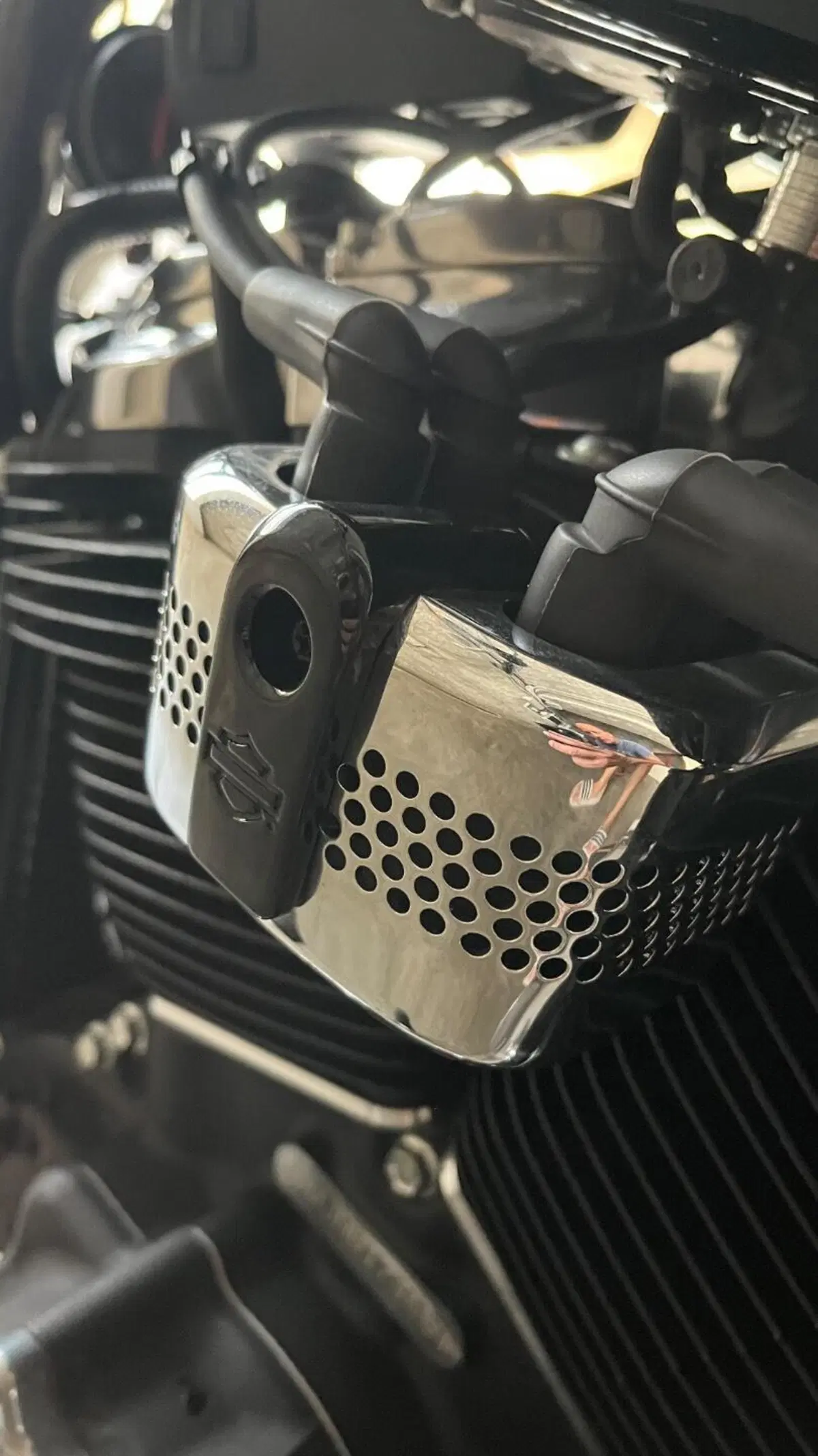 Harley-Davidson Softail Standard (2020) - FXST (5)