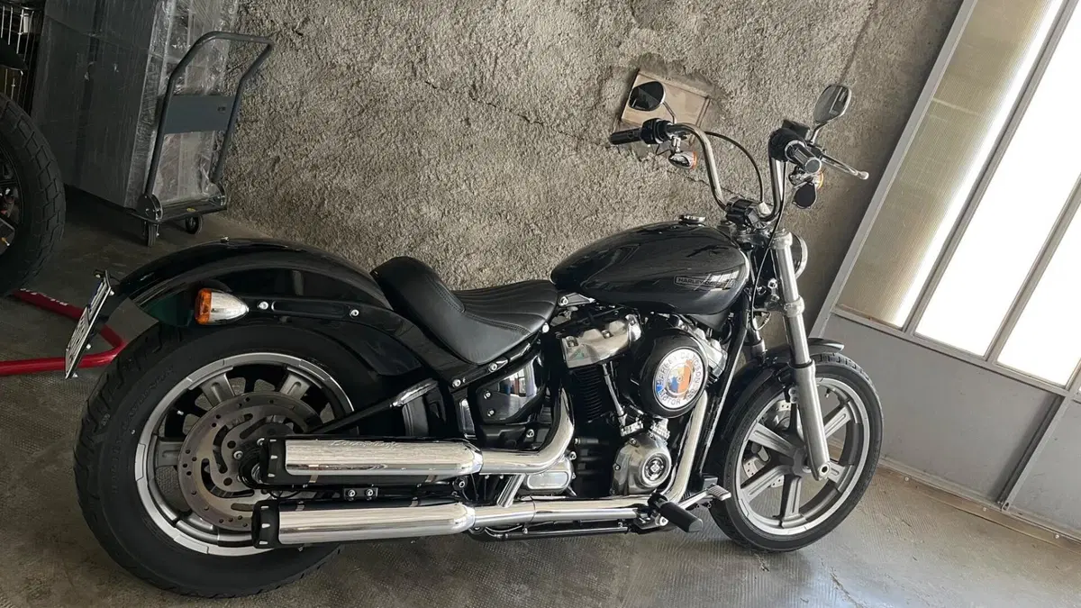 Harley-Davidson Softail Standard (2020) - FXST (7)