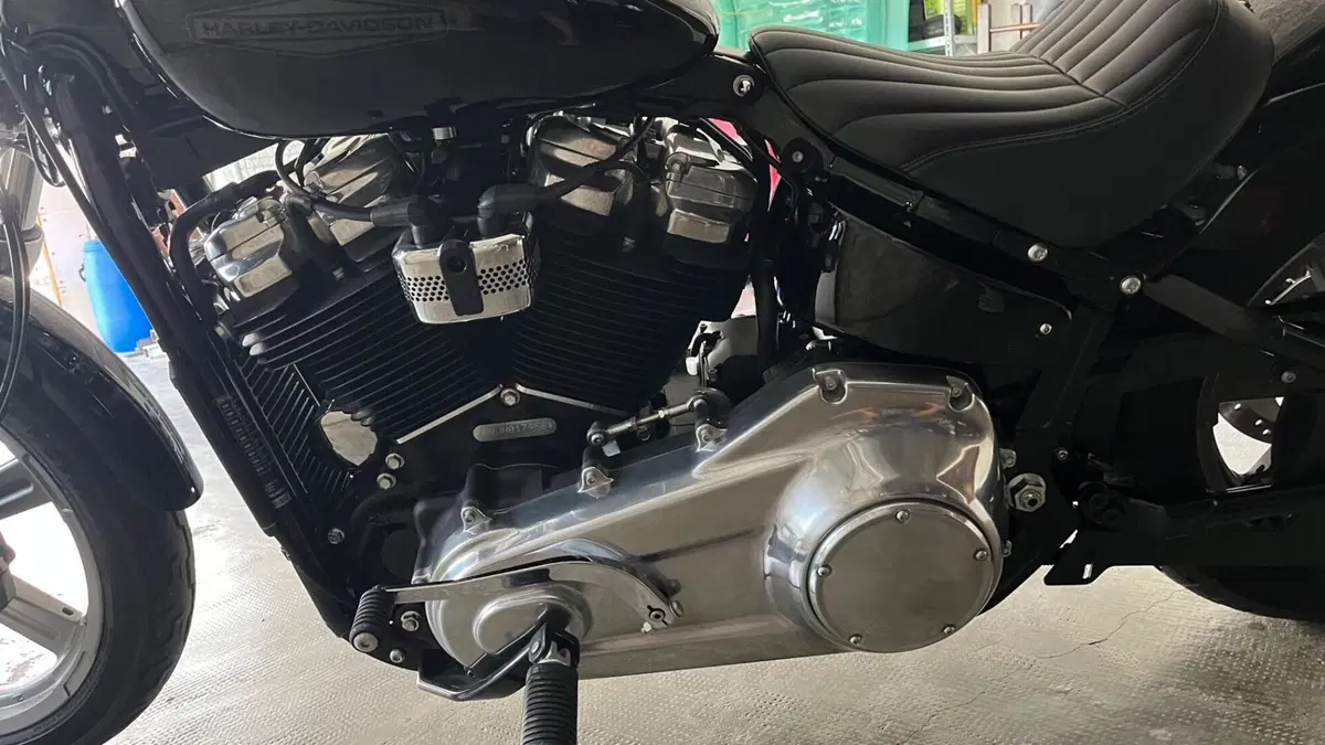 Harley-Davidson Softail Standard (2020) - FXST (12)