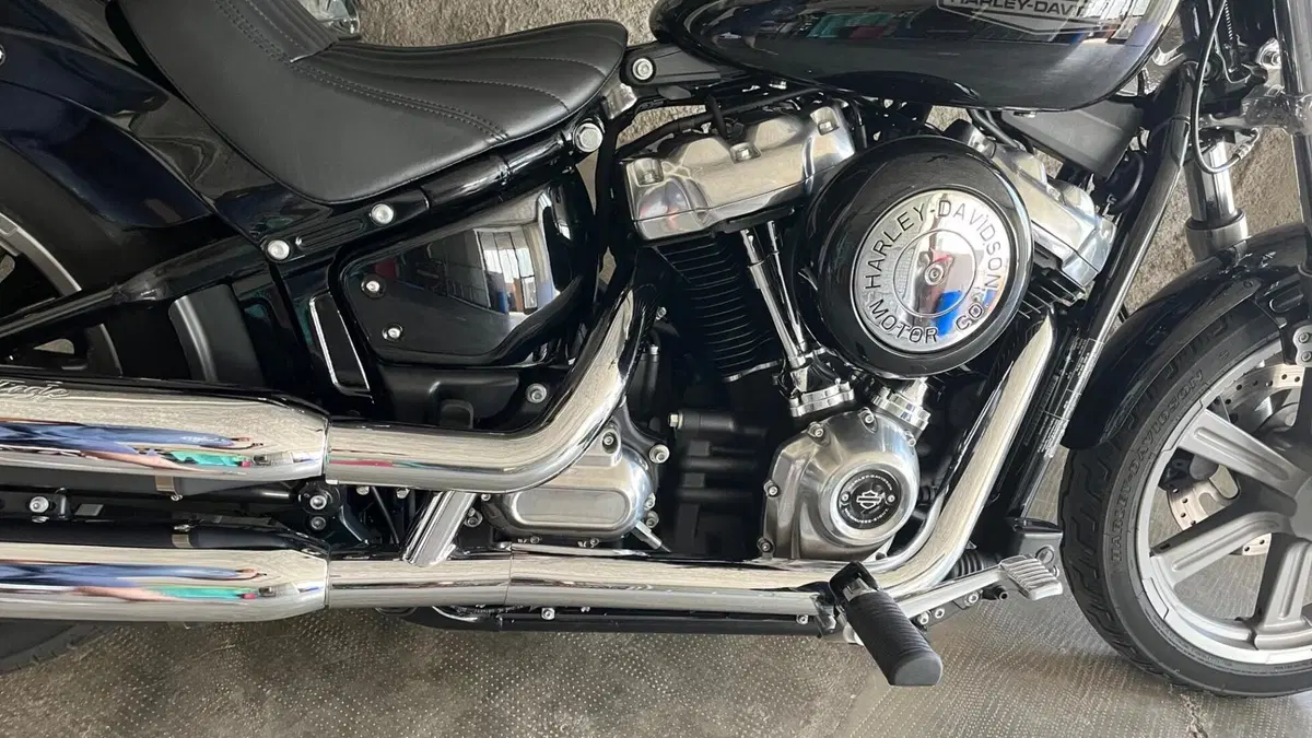 Harley-Davidson Softail Standard (2020) - FXST (13)
