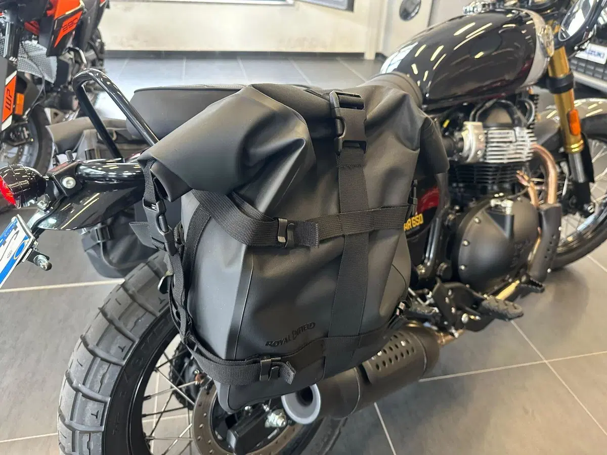 Royal Enfield Bear 650 (2025 - 26) (13)