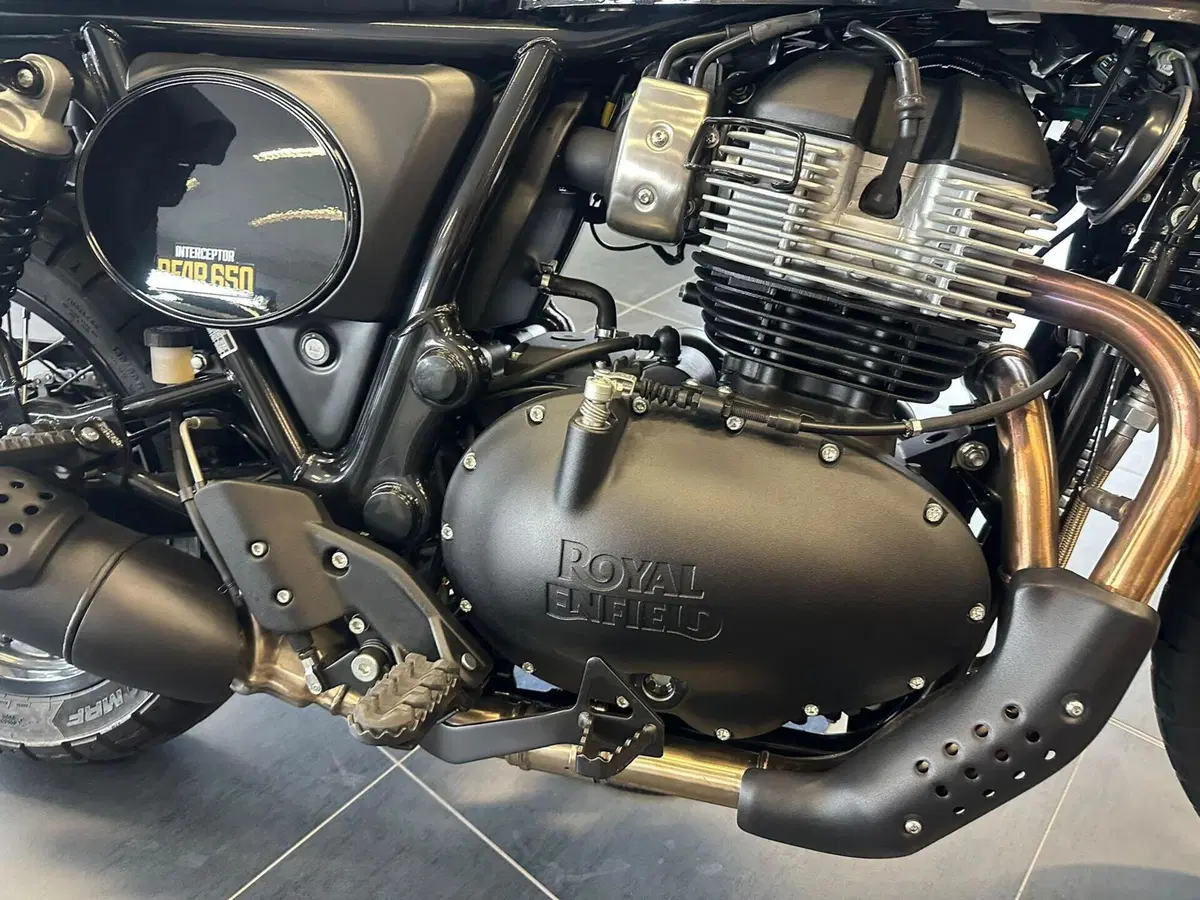 Royal Enfield Bear 650 (2025 - 26) (14)