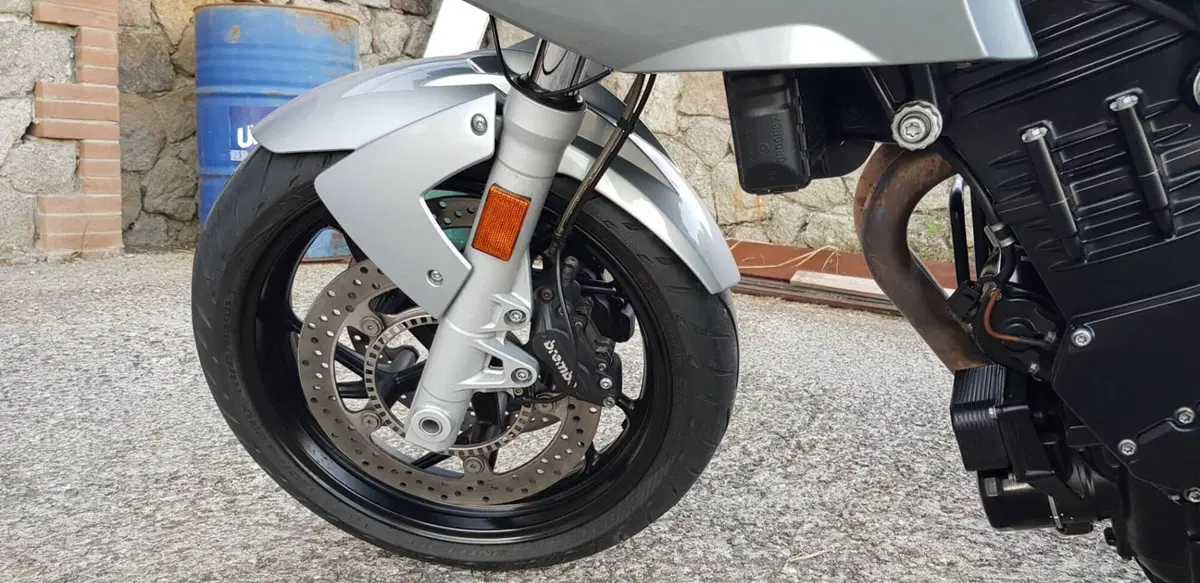 Bmw F 800 S (5)