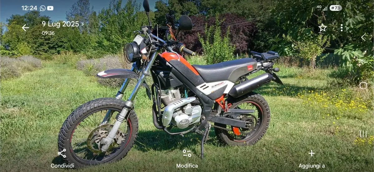 Rieju Tango 250 (2009 - 17)