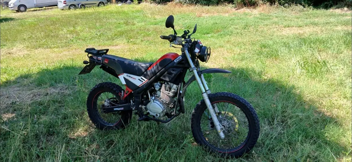 Rieju Tango 250 (2009 - 17) (6)