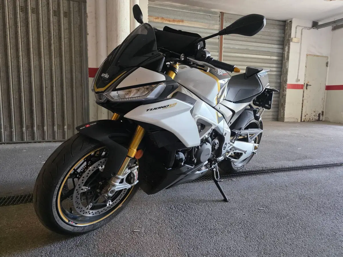 Aprilia Tuono V4 Factory (2021 - 24) (11)