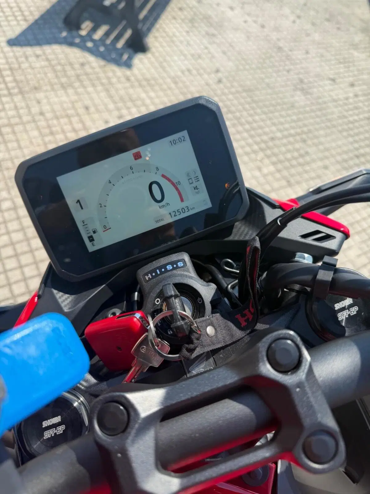 Honda CB 500 Hornet (2024 - 25) (3)