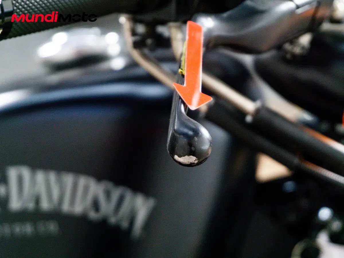 Harley-Davidson 883 Iron (2009 - 11) - XL 883N (14)